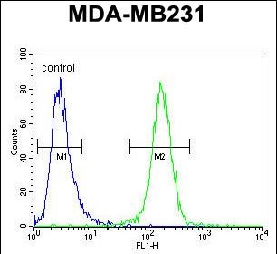 FC - SMIM14 Antibody (C-term) AP5437b