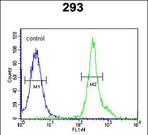 FC - TSPAN3 Antibody (Center) AP5559c