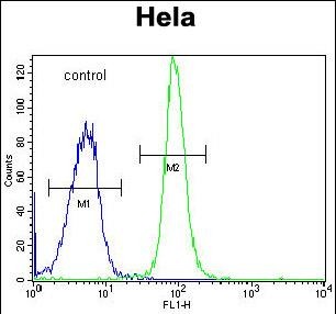 FC - DONSON Antibody (Center) AP5661C