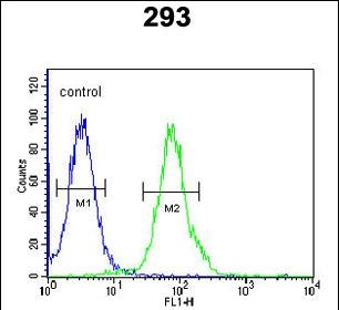 FC - RTKN2 Antibody (N-term) AP5819a