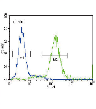 FC - AGTR1 Antibody (Center) AP10119b