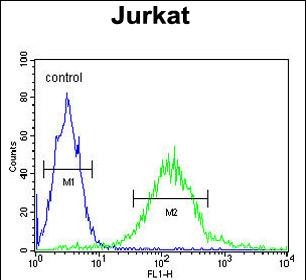 FC - GPRASP1 Antibody (C-term) AP5831b
