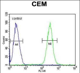 FC - BCAN Antibody (C-term) AP5915b