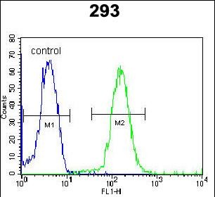 FC - DACT1 Antibody (N-term) AP5921a