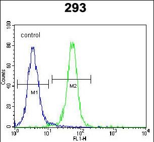 FC - ZNF611 Antibody (N-term) AP10604a