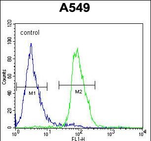 FC - WDR32 Antibody (N-term) AP10636b