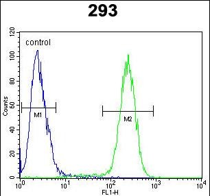 FC - TMEM66 Antibody (N-term) AP10746a