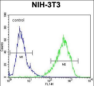 FC - HOMEZ Antibody (N-term) AP10772a
