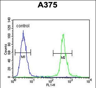 FC - AL2SA Antibody (N-term) AP10777a