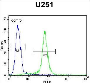 FC - CCDC9 Antibody (N-term) AP10786A