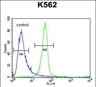 FC - ANR52 Antibody  (N-term) AP10808a