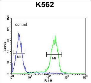 FC - RN185 Antibody  (Center) AP10818c