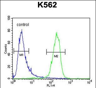 FC - MCART2 Antibody (N-term) AP10890a