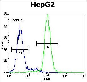 FC - CST9 Antibody (C-term) AP11059b
