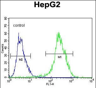 FC - NR0B2 Antibody (Center) AP11075c