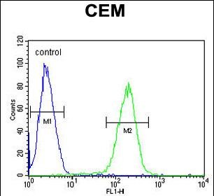 FC - SFR1 Antibody (N-term) AP11080A