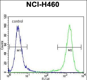 FC - VSTM4 Antibody (Center) AP11192c