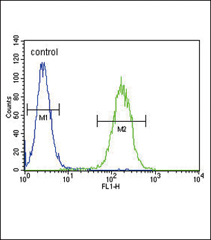 FC - CYP11B2 Antibody (Center) AP11213C