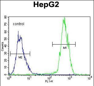 FC - PRRT1 Antibody (Center) AP11241c