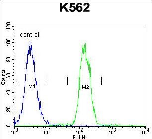 FC - TMEM151B Antibody (N-term) AP11246a