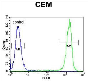 FC - NUDT22 Antibody (C-term) AP11280b