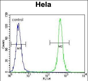 FC - TSPYL6 Antibody (Center) AP11292c