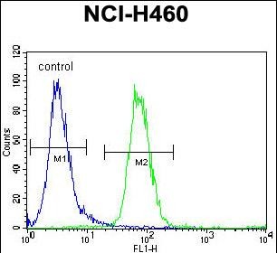 FC - FX4L1 Antibody  (N-term) AP11337a