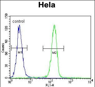 FC - SELV Antibody (C-term) AP11340b