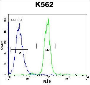 FC - TCF21 Antibody (C-term) AP11577b