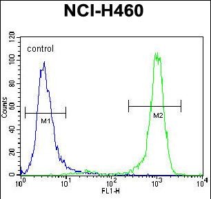 FC - CHRND Antibody (Center) AP11657c