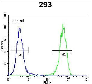 FC - PTK9L Antibody (N-term) AP11665a