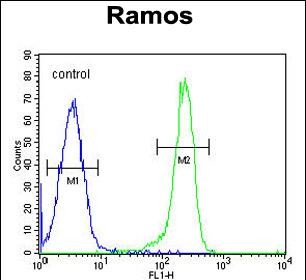 FC - PDE4B Antibody (Center) AP11684c