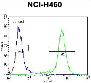 FC - LCN9 Antibody (N-term) AP11727a