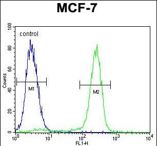 FC - OTOP3 Antibody (C-term) AP11912b