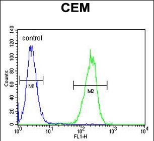 FC - ZMYND10 Antibody (Center) AP12098c