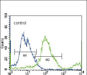 FC - SLC36A1 Antibody (N-term) AP12170A