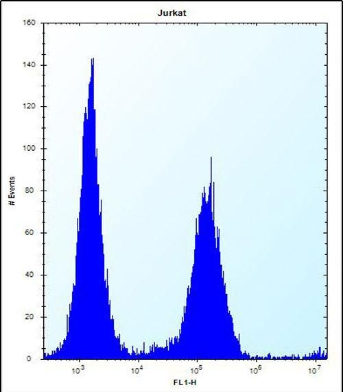 FC - KRTAP25-1 Antibody (C-term) AP12354b