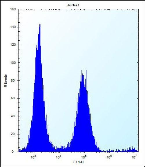 FC - PSAPL1 Antibody (N-term) AP12400a
