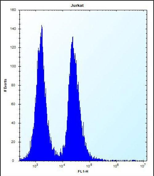 FC - KRTAP13-3 Antibody (C-term) AP12430b