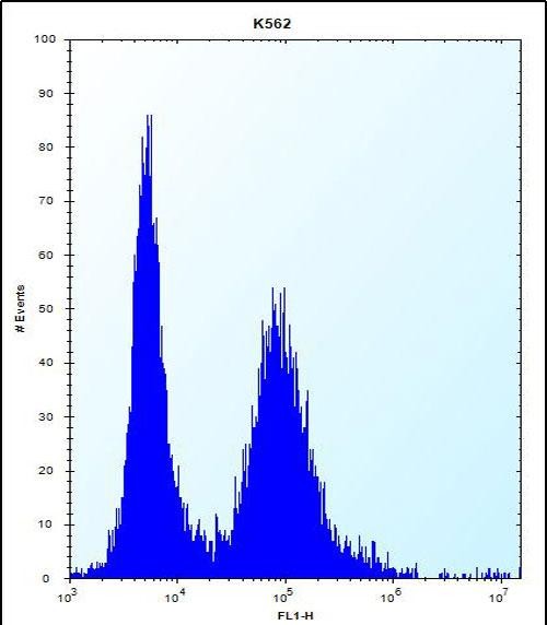 FC - MEIG1 Antibody (Center) AP12447C