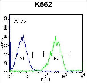 FC - F105A Antibody (Center) AP12625C