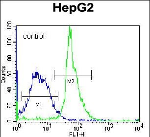 FC - KRTAP1-3 Antibody (Center) AP12654c