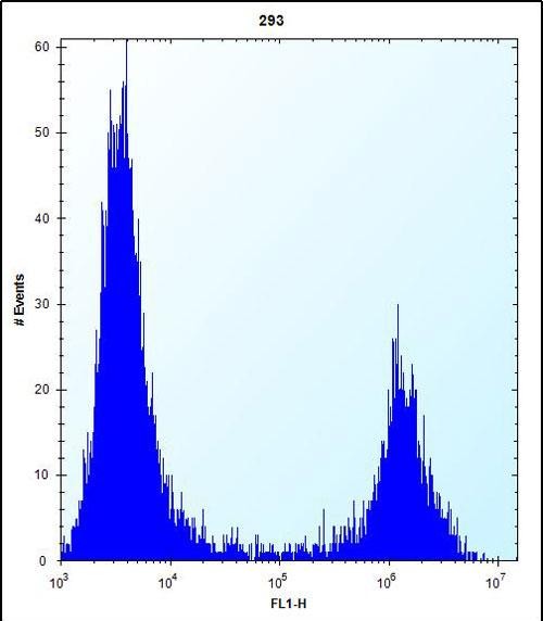 FC - MID1IP1 Antibody (N-term) AP12762a