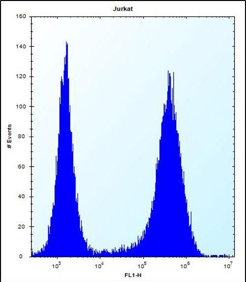 FC - SPOPL Antibody (Center) AP12768c