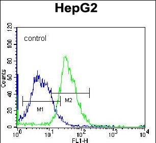 FC - PLEKHH1 Antibody (C-term) AP12777b