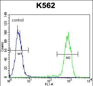 FC - ELAVL2 Antibody (Center) AP12937c