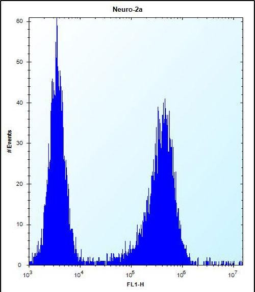 FC - LYPL1 Antibody  (Center) AP13955c