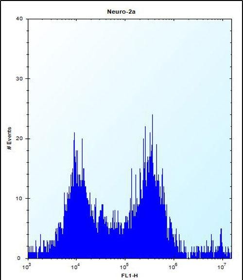 FC - Mouse Map4k3 Antibody (Center) AP14443C