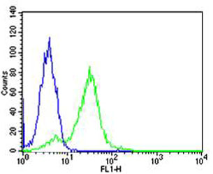 FC - RPS6 Antibody (N-term) AW5080-U100