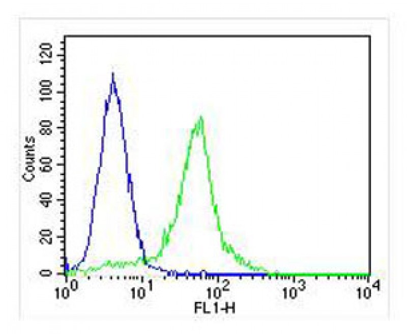 FC - DDIT3 Antibody (C-term A135) AP11955B
